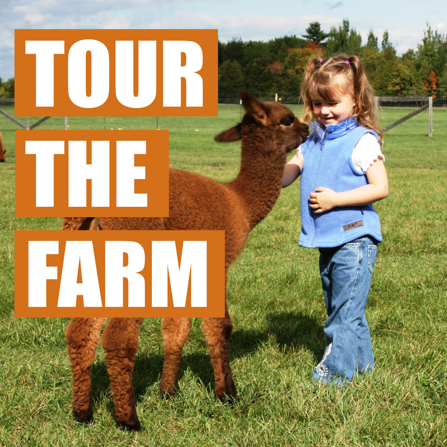 farm tours holidays